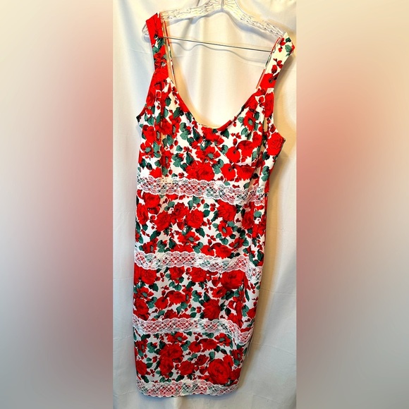 NWT ASOS Design Curve Size 22 Floral Lace Sheath Dress Pink Red Green White - Picture 1 of 12